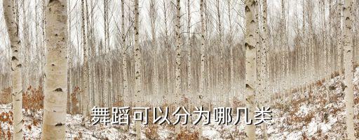  舞蹈可以分为哪几类