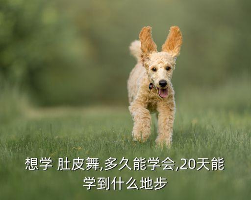 想学 肚皮舞,多久能学会,20天能学到什么地步