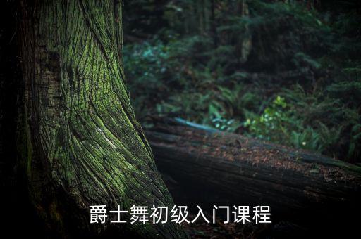 爵士舞初级入门课程