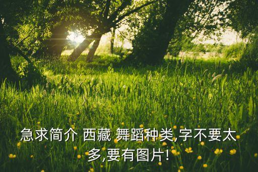 急求简介 西藏 舞蹈种类,字不要太多,要有图片!