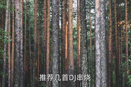 推荐几首DJ串烧