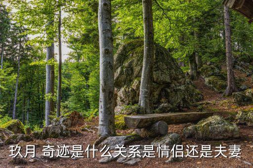 玖月 奇迹是什么关系是情侣还是夫妻