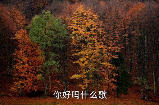 宋祖英你好吗舞蹈