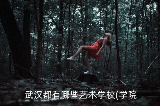  武汉都有哪些艺术学校(学院
