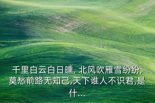 千里白云白日曛, 北风吹雁雪纷纷,莫愁前路无知己,天下谁人不识君,是什...