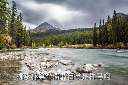 桃李杯第十届节目单是神马啊