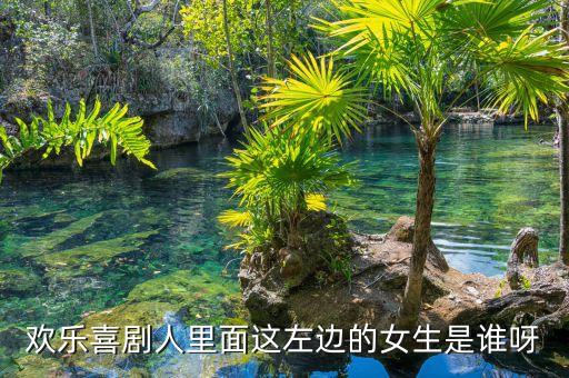 欢乐喜剧人里面这左边的女生是谁呀