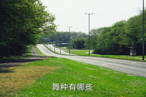 舞种有哪些