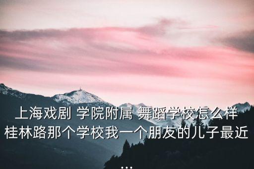 上海戏剧 学院附属 舞蹈学校怎么样桂林路那个学校我一个朋友的儿子最近...
