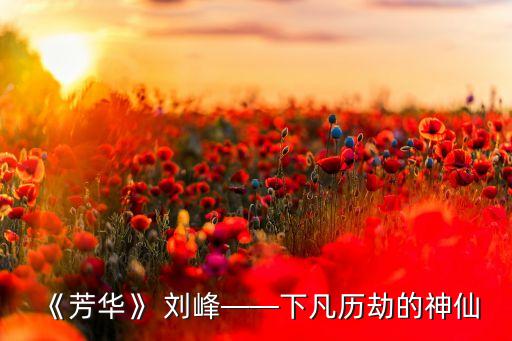 《芳华》 刘峰——下凡历劫的神仙
