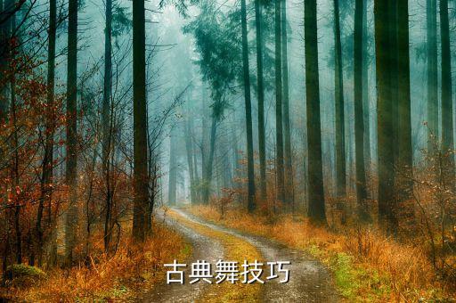 古典舞技巧