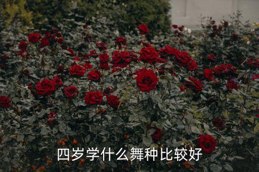 四岁学什么舞种比较好
