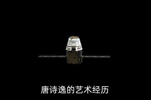 唐诗逸的艺术经历