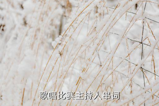歌唱比赛主持人串词