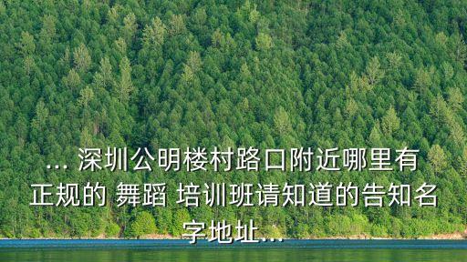 ... 深圳公明楼村路口附近哪里有正规的 舞蹈 培训班请知道的告知名字地址...