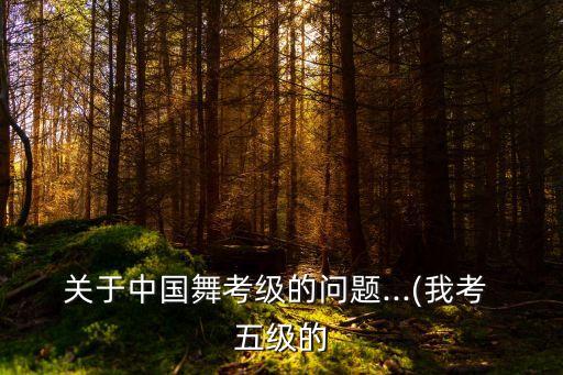 五级的舞蹈有什么区别,艺术团和舞蹈队有什么区别