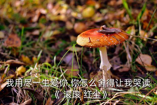 我用尽一生爱你,你怎么舍得让我哭读《 滚滚 红尘》