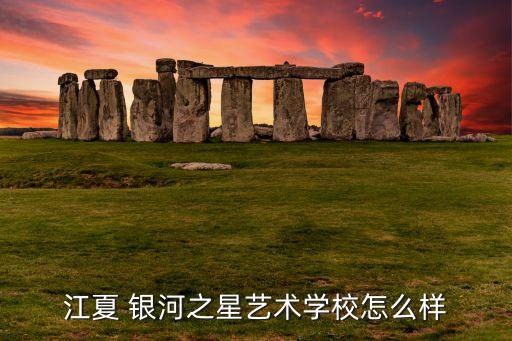 江夏 银河之星艺术学校怎么样