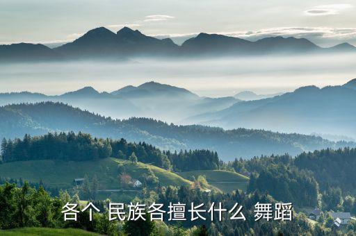 中国的民族舞蹈,中国民族舞蹈九级考级视频