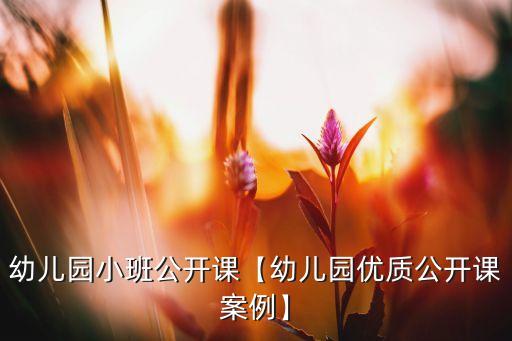 幼儿园小班公开课【幼儿园优质公开课案例】