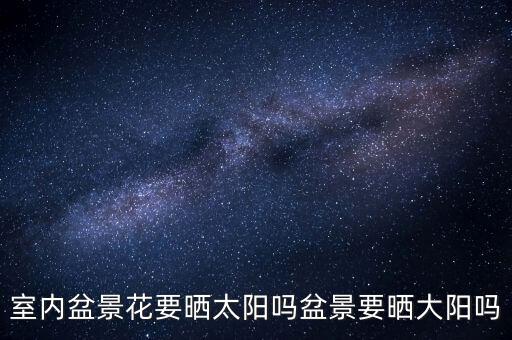 室内盆景花要晒太阳吗盆景要晒大阳吗