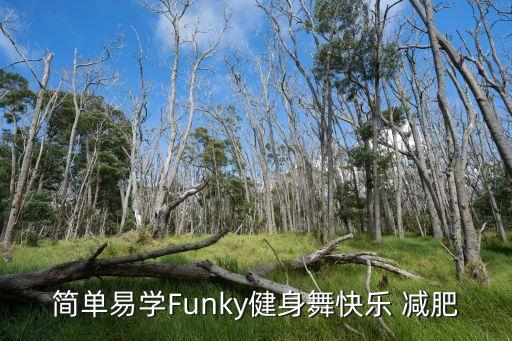 简单易学Funky健身舞快乐 减肥