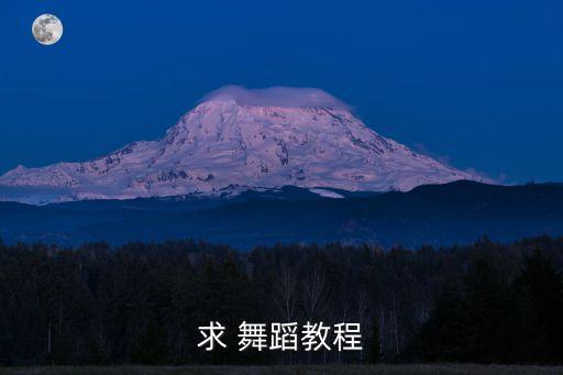 求 舞蹈教程