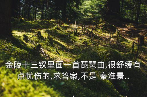 金陵十三钗里面一首琵琶曲,很舒缓有点忧伤的,求答案,不是 秦淮景...