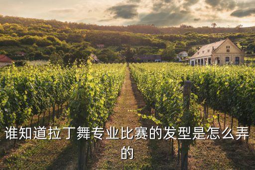 谁知道拉丁舞专业比赛的发型是怎么弄的