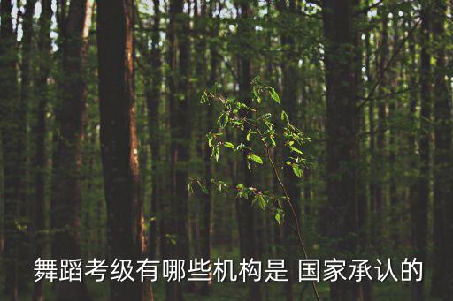  舞蹈考级有哪些机构是 国家承认的
