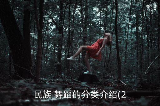 名族舞蹈个人,中国民族舞蹈