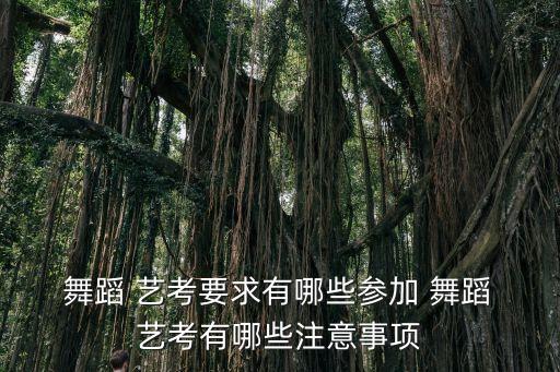  舞蹈 艺考要求有哪些参加 舞蹈 艺考有哪些注意事项