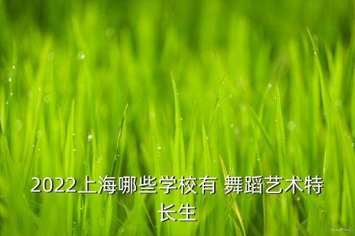 2022上海哪些学校有 舞蹈艺术特长生