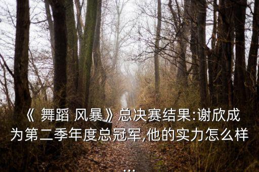 《 舞蹈 风暴》总决赛结果:谢欣成为第二季年度总冠军,他的实力怎么样...