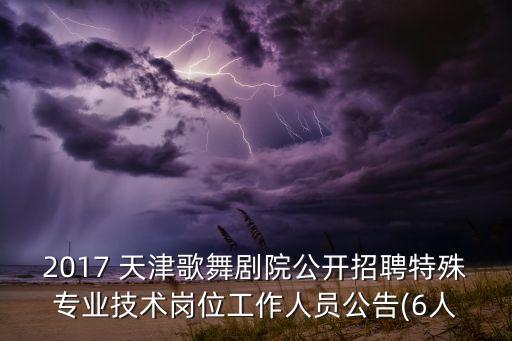 2017 天津歌舞剧院公开招聘特殊专业技术岗位工作人员公告(6人