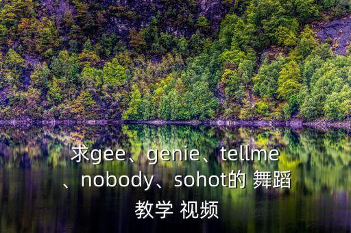 求gee、genie、tellme、nobody、sohot的 舞蹈 教学 视频