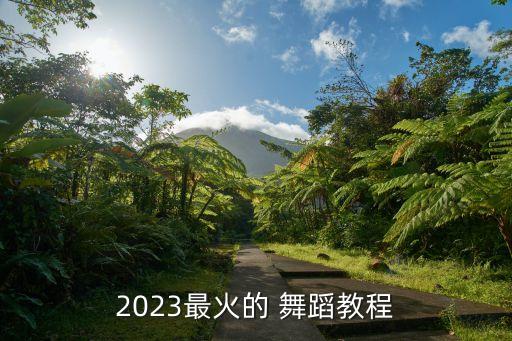最红的舞蹈教学视频,红昭愿舞蹈视频教学完整版