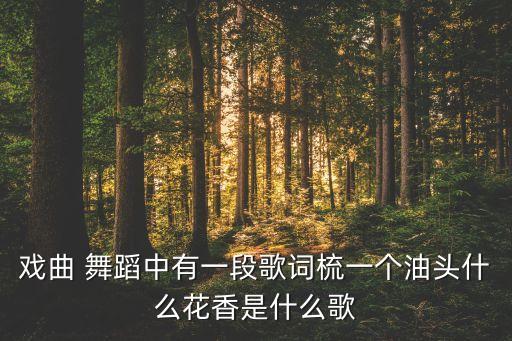 戏曲 舞蹈中有一段歌词梳一个油头什么花香是什么歌