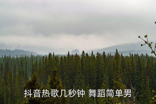 深圳火舞蹈分解,火了火了舞蹈分解教程
