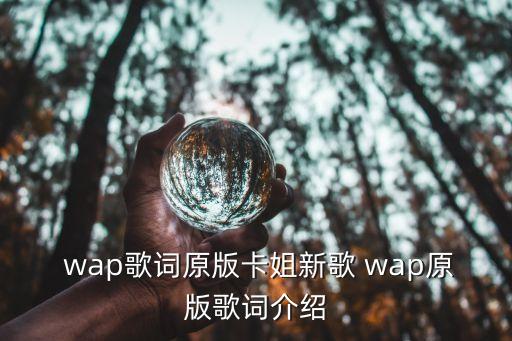  wap歌词原版卡姐新歌 wap原版歌词介绍