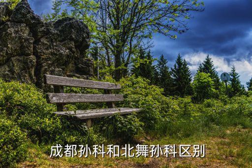  成都孙科和北舞孙科区别