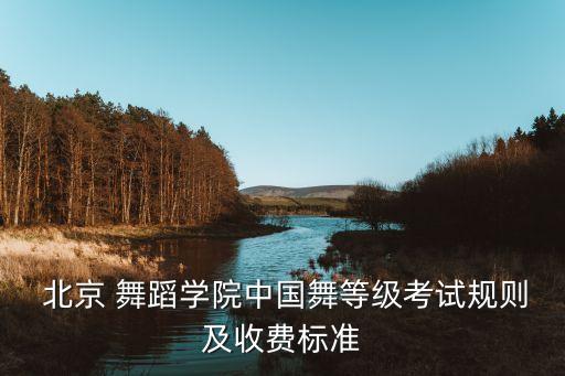 北京舞蹈艺术