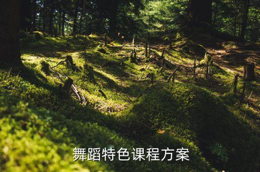  舞蹈特色课程方案