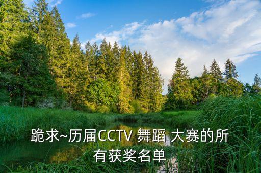 cctv第七届电视舞蹈大赛