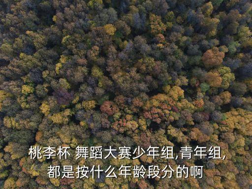  桃李杯 舞蹈大赛少年组,青年组,都是按什么年龄段分的啊