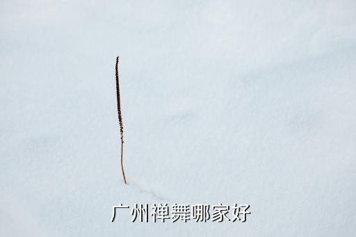  广州禅舞哪家好