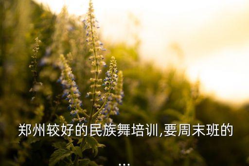 郑州舞蹈班学校合作,郑州比较好的舞蹈学校有哪几家