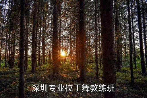 深圳专业拉丁舞教练班