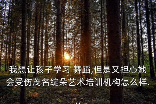 我想让孩子学习 舞蹈,但是又担心她会受伤茂名绽朵艺术培训机构怎么样...