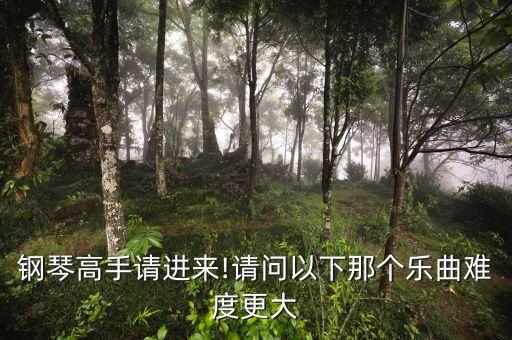 钢琴高手请进来!请问以下那个乐曲难度更大